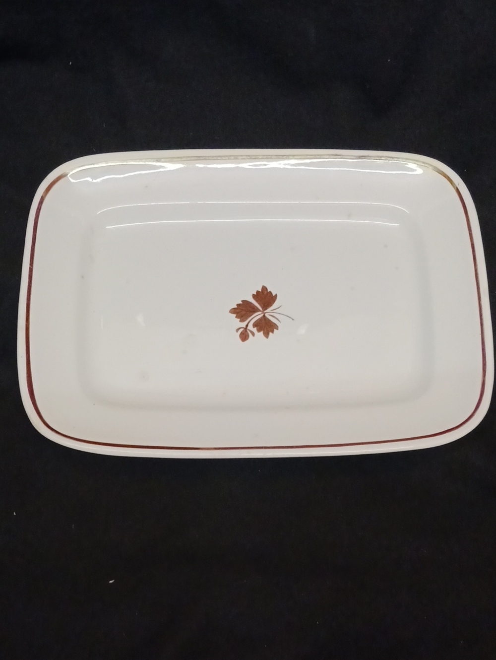Alfred Meakin Royal Ironstone Tea Leaf Platter - ANTIQUE